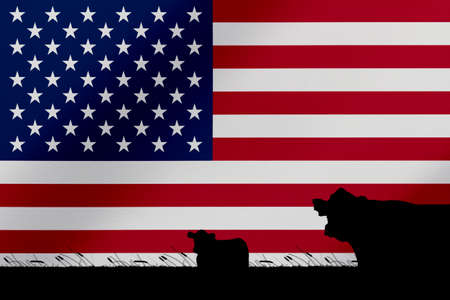Consumption and production of cattle in countries with the flag of  United States of America.