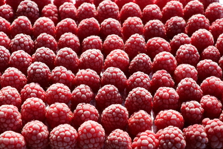 Frozen raspberries (Rubus idaeus)の写真素材