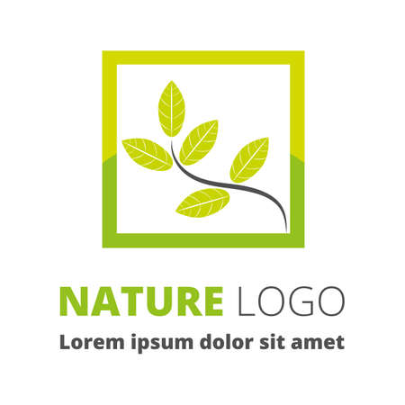 Creative vector design template, nature leafsのイラスト素材