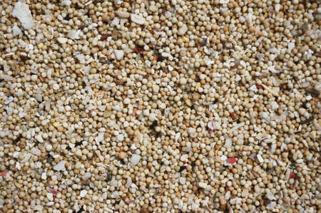 Lite yellow sea sand texture for background, close up