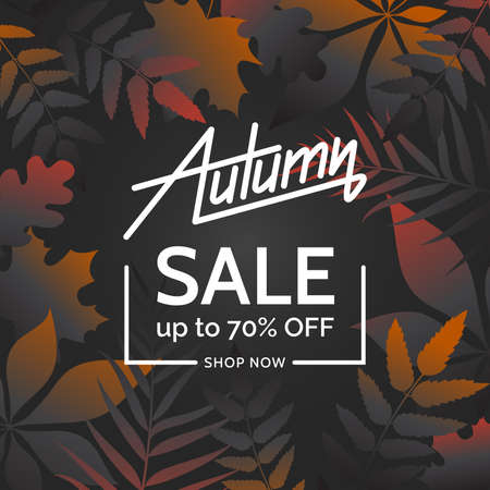 Colorful autumn leaves on dark grey background. Modern autumn sale poster concept with foliage frame. Template for promo, advertising, flyer, poster design. Vector eps 10のイラスト素材