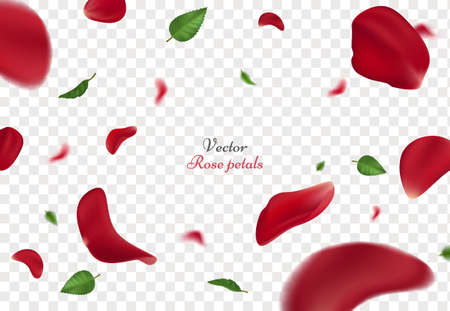 Falling red rose petals and green leaves isolated on transparent background.のイラスト素材