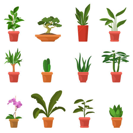 House plants vector illustration. Set of colorful indoor plants in flat cartoon style. Green leaves and inflorescences. Decorative elements for home and garden. Eps 10.のイラスト素材