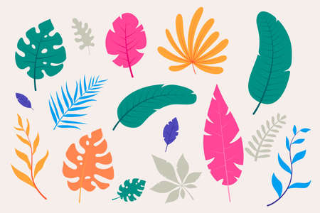 Collection of colorful tropical leaves in flat style. Decorative leaves of exotic plants - monstera, palm, fern, etc. Summer foliage. Elements for your floral design. Vector illustration.のイラスト素材