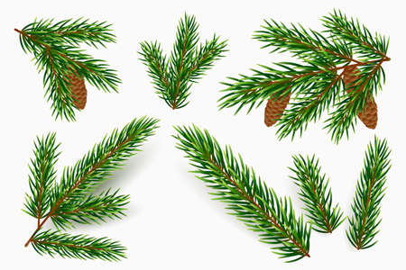 Vector fir tree branches isolated on white background. Realistic green pine branch with cones. Design element for winter holidays. Spruce boughs in different shapes. Traditional Christmas decoration.のイラスト素材