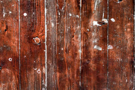 Wood Background Textureの写真素材