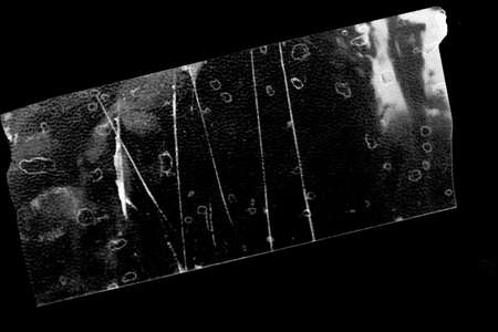 Plastic Wrap Textureの写真素材