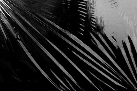 Plastic Wrap Texture