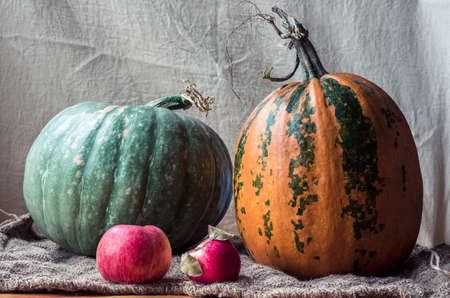 Still Life. yellow and green pumpkin two red apples on sacking. beige backgroundの写真素材