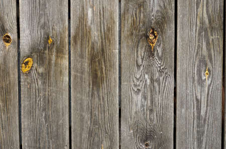 Background of old textured wood with knotsの写真素材