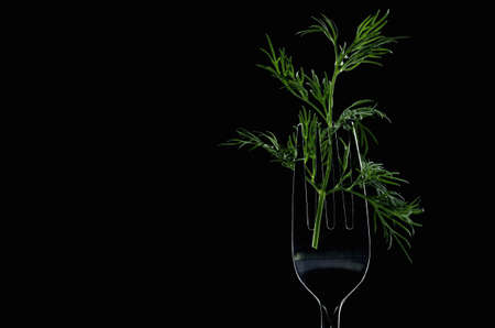 green sprig of dill is on a fork background blackの写真素材