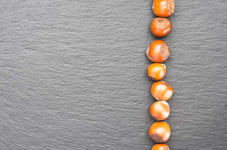 line of hazelnut nuts. top view . on a slate platter. copy space on the leftの写真素材