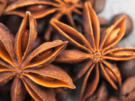 coffee cinnamon and star anise close upの写真素材