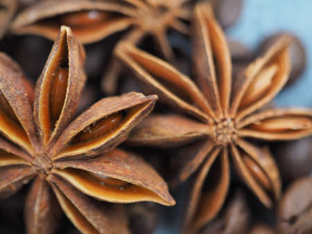 coffee cinnamon and star anise close upの写真素材