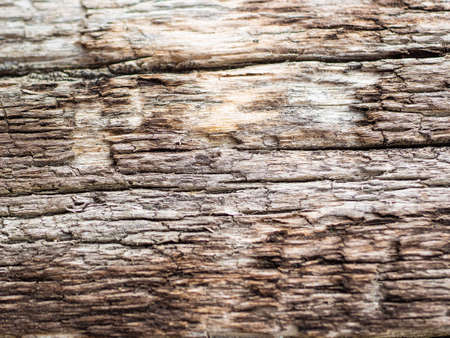 Old natural wooden shabby background close upの写真素材