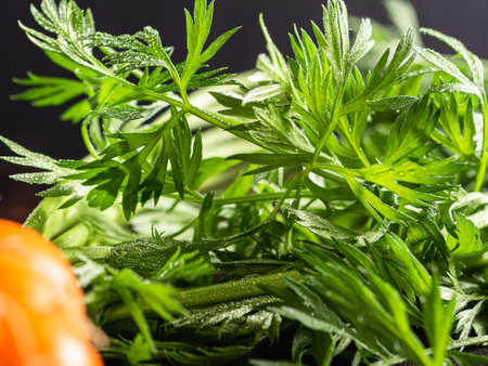 fresh raw ugly food carrots with curled leaves lies on an old rusty boreholeの写真素材