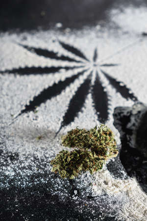 The process of making cannabis pastries. You can see the traces of marijuana leaves on flour and dried inflorescences of marijuana. Vertical orientationの写真素材