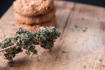 three cookies with marijuana lie on top of each other on a wooden board. Near big bud cannabis. Horizontal orientation.の写真素材