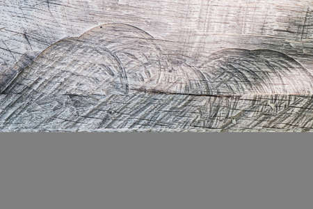 Rustic old wood plank texture for background and design concepts. the shadow of the foliage on the wooden board. gray. Horizontal. backgroundの写真素材