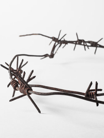 Fragment of rusty barbed wire on a white background. Symbol of fear of unfreedom of warの写真素材