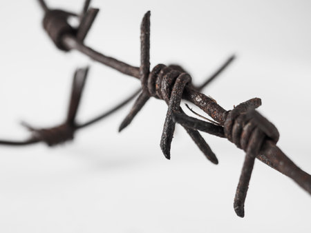 Fragment of rusty barbed wire on a white background. Symbol of fear of unfreedom of war
