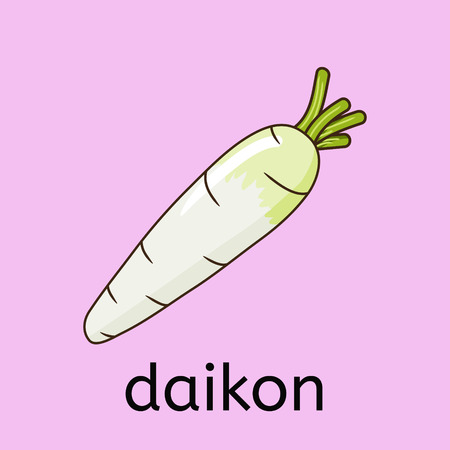 hand draw vegetable - daikon (white radish) isolated over pink backgroundのイラスト素材