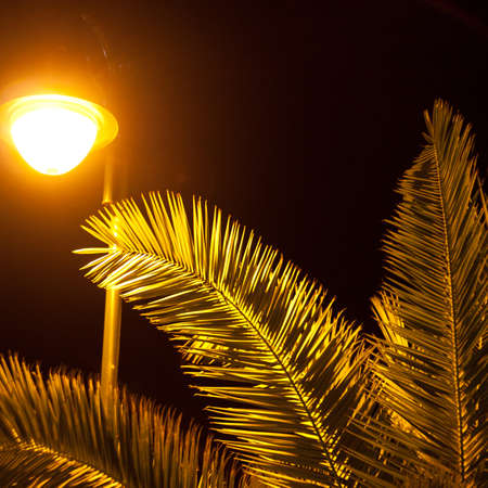 night visionの写真素材