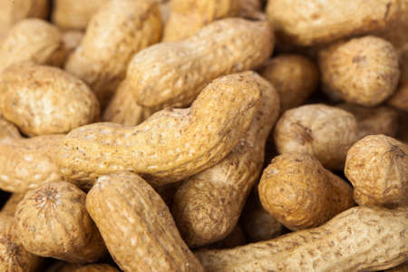 Peanuts background の写真素材