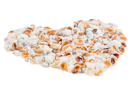 a heart made of sea shells isolated