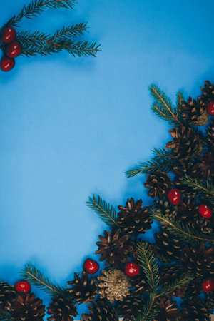 Vertical Christmas blue background with Christmas tree branches, cones and berries. In the middle...