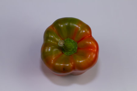 Fresh multi-colored peppers are always used in cooking. Juicy bell pepper is very healthy and tasty. Fresh vegetables are very useful for humans. Healthy eating raw foodの写真素材