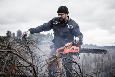 Chopping a tree trunk into small logs with a chainsaw. Dangerous work with a chainsaw requires care and accuracy. Chainsaw concept.の写真素材