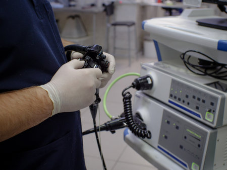 In a veterinary clinic, an endoscopic examination of the gastrointestinal tract of an animal is performed. The veterinarian controls the direction of the gastroscope probe with his fingers.の写真素材