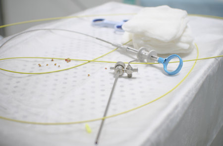 In the operating room, there is an instrument for cystoscopy and stones from the bladder and urethra...