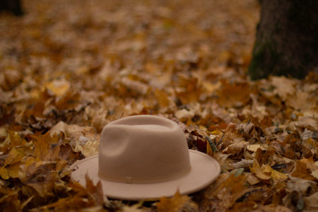 A beautiful hat lies on yellow autumn leaves in a park on the ground. Magical autumn atmosphere. Beige hat in autumn parse among yellow foliage.の写真素材