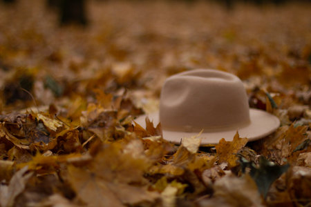 A beautiful womans hat lies on the ground in the autumn forest. In dry leaves among the trunks of trees lies a beige fashionable hat. Autumn background with bright fall colors.の写真素材