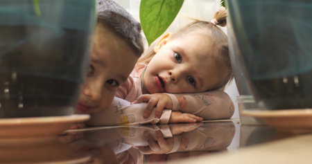 Beautiful little girl with her brother smiling while looking at the camera. Children peek out from behind flower pots and laugh. Cute little girl smiles beautifully at the camera.の写真素材