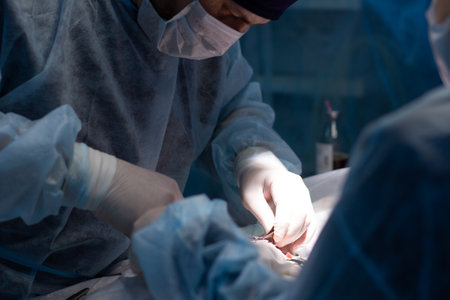 A veterinary surgeon bent over a pet during an operation. A professional surgeon completes a difficult operation on a pet. In the clinic, a team of doctors work in the operating room to save lives.の写真素材
