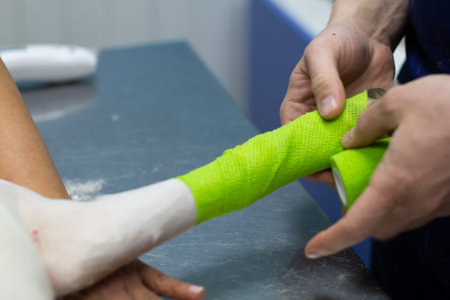 The veterinarian holds a dogs paw in his hand and puts a bandage on the wound. The doctor bandages the front paw of the dog. The concept of bandaging a wound in a pet.の写真素材