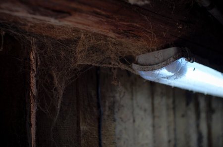 In the barn, an old dusty cobweb hangs near a burning lamp. An old web in a dark corner of the barn looks ominous. Burning lamp surrounded by old dusty cobwebs.の写真素材