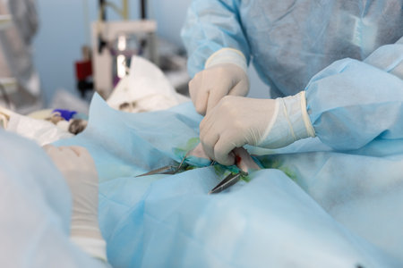 In light surgery, a veterinarian performs endoscopic surgery on a pet. Veterinary surgeon in uniform operates endoscopically on a pet. The concept of endoscopic surgery in a pet.の写真素材