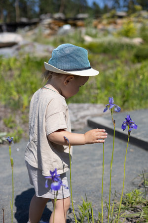 Little girl ramatriya iris flowers in the park on a summer sunny day. Child girl admires beautiful iris flowers. The child loves the beauty of nature and enjoys a walk in the park.の写真素材