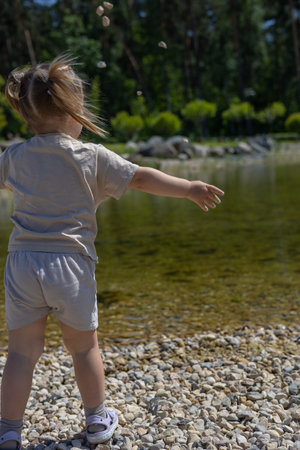 View from the back. A child a little girl throws stones into the lake from the shore. On a clear summer day, a child throws small stones into the lake. A beautiful little girl is playing on the lake.の写真素材