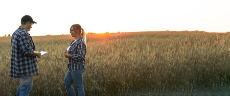 Banner. Agriculture. Two farmers are talking at sunset against the backdrop of a wheat field. Copy...