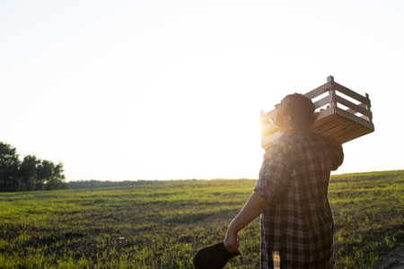 Throwing a box with vegetables on his shoulder, a male farmer walks across the field at sunset on a clear day. View from the back. The farmer harvested vegetables on the field in a wooden box.の写真素材