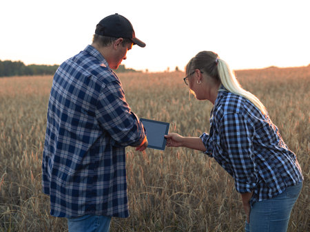 The farmer explains to the woman and shows the yield indicators of wheat fields on the tablet. Standing in a field of wheat at sunset, the farmer shows the buyer the quality and abundance of wheat.の写真素材