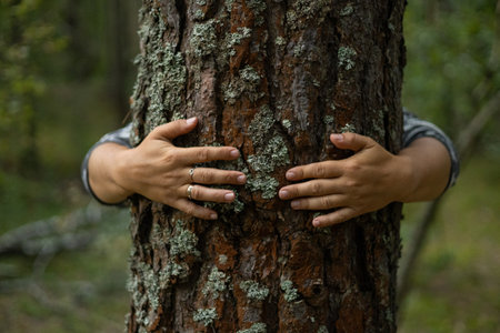 Save the planet. Hands gently hug the tree trunk, protecting it from being cut down. Protecting forests from deforestation. A man takes care of trees and tries to protect them.の写真素材