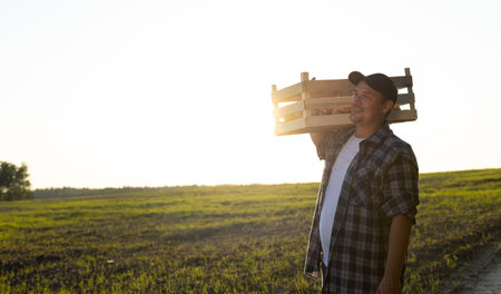 At sunset, the farmer finishes working in the field and carries a box of potatoes on his shoulder Agriculture and small business. A tired farmer carries a box of vegetables on the back of the sunset.の写真素材