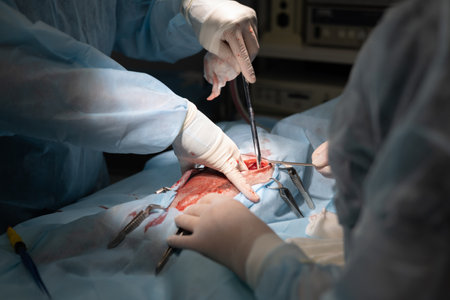 Surgery on a pet in veterinary surgery. A team of professional veterinary surgeons performs abdominal surgery on your pet. Surgery on a pets abdominal cavity close-up.の写真素材