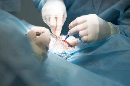 An experienced veterinary surgeon performs a surgical procedure on a pet in the operating room....